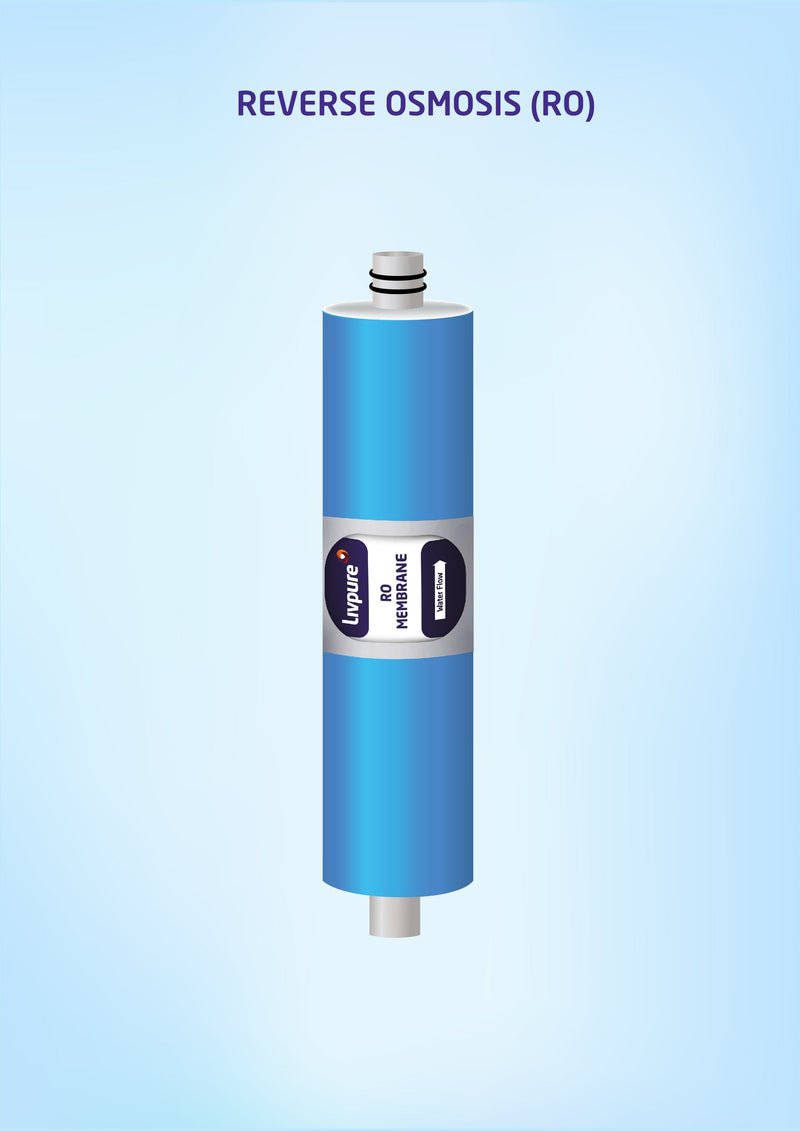 <h2>Reverse Osmosis (RO) Technology</h2>